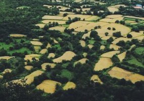 Lorem ipsum dolor sit amet